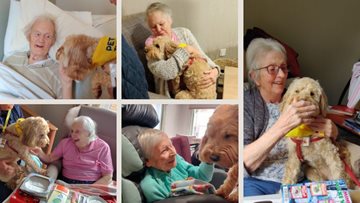 Therapy dog visits Residents at Devizes care home